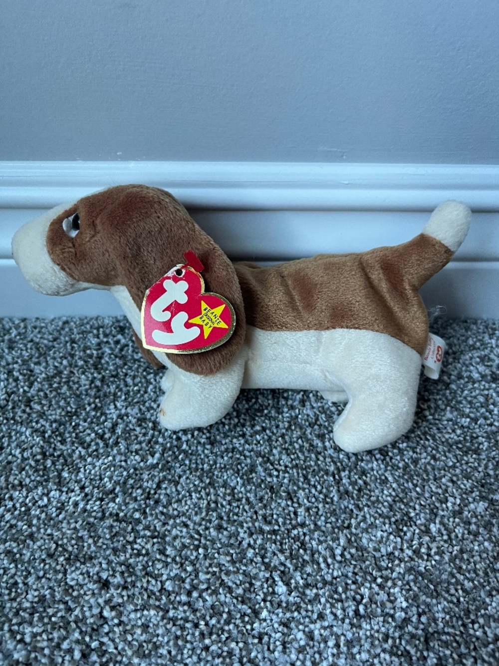 Tracker the Basset Hound-Retired Beanie Baby